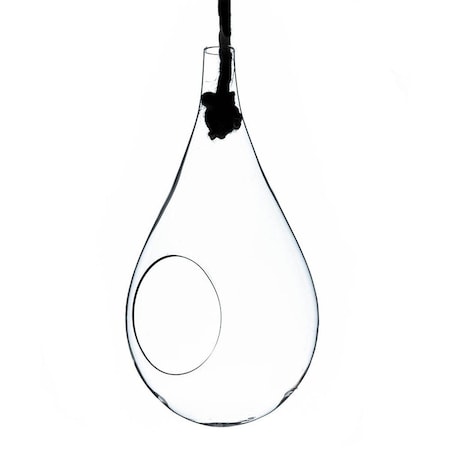 Vista 5 in Small Clear Rope Hanging Terrarium  Vase VI1852120